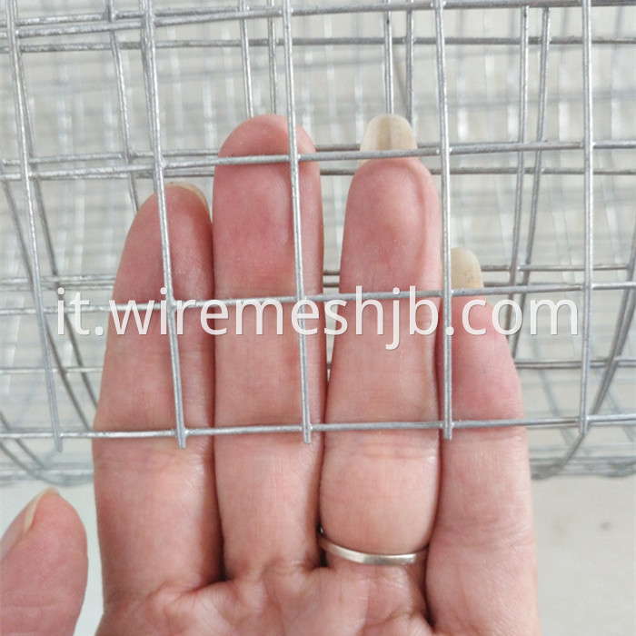 Hot-dip Galvanized Welded Wire Mesh